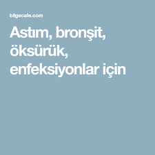 bilgecafe sosyal bilgi platformu bilgecafe saglikli olmak dogal receteler recete