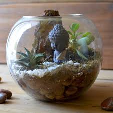 Imagine a big beautiful garden in its smallest size and version and that is what your miniature garden is. Mybageecha The Pondering Buddha Diy Terrarium Kit Live Plants Wood Zen Miniature Home Garden Decor Glass Amazon In Garden Outdoors