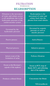 Difference Between Filtration And Reabsorption Definition Process Features Similarities In 2020 Chemistry Lessons Mcat Study Medical Knowledge