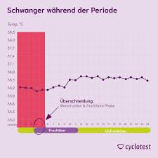 Migräne ist ein starker, meist einseitiger kopfschmerz, der immer wieder auftritt. á… Kann Man Wahrend Der Periode Schwanger Werden Cyclotest
