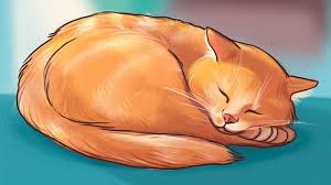 Selain ruhainies dan hisyam, drama itu turut dibintangi oleh chacha maembong, lia natalia, jasmin hamid dan farhan asri. Coba Perhatikan 6 Posisi Tidur Yang Ungkap Suasana Hati Kucing Citizen6 Liputan6 Com