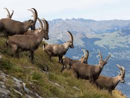 Bis wann wirst du single. Bewerbung Sind Sie Sternzeichen Steinbock Beachten Sie Dringend Diese Dinge Karriere
