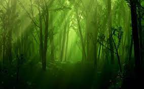10 Most Popular Dark Enchanted Forest Background Full Hd 1920 1080 For Pc Background Forest Background Enchanted Forest Forest Wallpaper