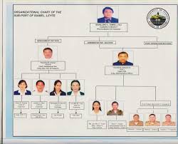 Davao Doctors Hospital Organizational Chart About Idph