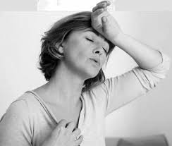 PROFESIONISTA DESTACADO 2023