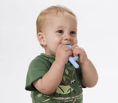 Why Do Babies Put Everything In Their Mouths Oral Motor Usa Baby Gestational Age