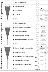 Related online courses on physioplus. Http Www Coma Ulg Ac Be Images Gcs Comments Pdf