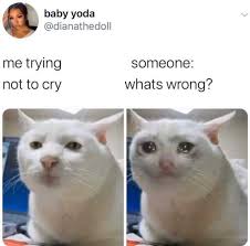 Try not to cry by twolves89 meme center. Dopl3r Com Memes Baby Yoda Dianathedoll Me Trying Someone Whats Wrong Not To Cry