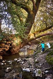 Discover recipes, home ideas, style inspiration and other ideas to try. 5 East Bay Spots To Get Even Wetter On A Rainy Day 510 Families