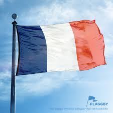 I frankrike får man lov att köra en lätt motorcykel (dvs upp till och med 125 kubikcentimeter) på ett jag bodde i antibes i frankrike i två år mellan 2006 och 2008. Frankrike Flagg