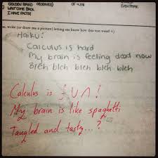 Calculus Haikus Calculus Haiku Teaching