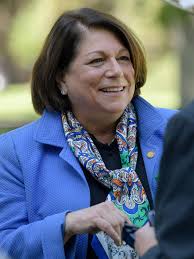 CSU athletics investigation: Trainers leave over COVID cover-up claims