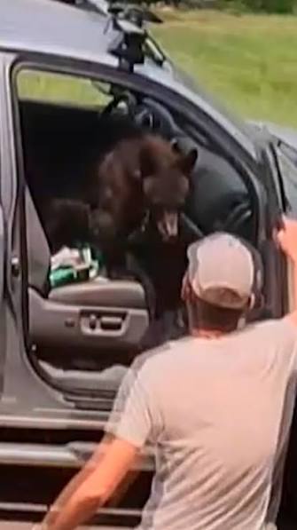 Some folks in Gold Hill, Colorado awoke to a wild surprise Sunday. A bear had somehow broke into a car and became locked inside. Click Watch Live at the link in our