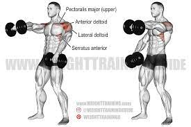 Ensure that you have a firm. Alternating Dumbbell Front Raise Guide And Video Weight Training Guide