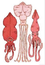 Maybe you would like to learn more about one of these? Giant Squid Explore Tumblr Posts And Blogs Tumgir