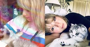She givin' hotness a new meanin'. We Can T Quite Get Enough Of Taylor Swift S Cats