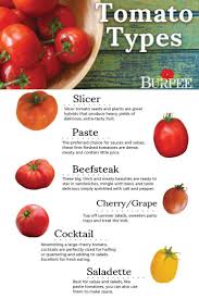 Want A Tomato For A Salad Sandwich Sauce Make Sure You