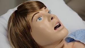 Meet the Sims, at Yukon's new medical simulation training facility