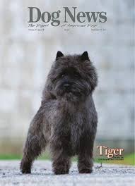 Custom pet portraits with gold foil and charcoal. Dog News Sept 23 By Dog News Issuu