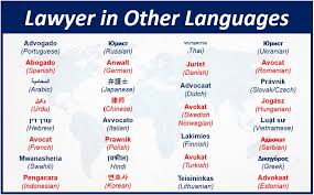 List of basic legal terms affirm: What Is A Lawyer Definition And Examples Market Business News