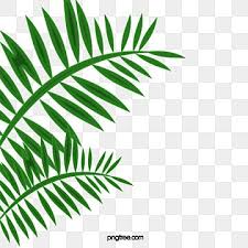 Check spelling or type a new query. Gambar Daun Hijau Kartun Tangan Dicat Daun Cat Air Tanaman Png Dan Psd Untuk Muat Turun Percuma Hijau Kartun Daun