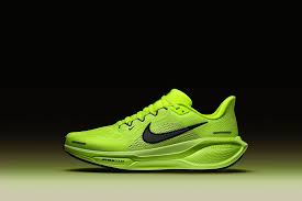 Nike Pegasus 41