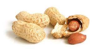 The Power Of Peanuts In Diabetes Diabetes Care Community