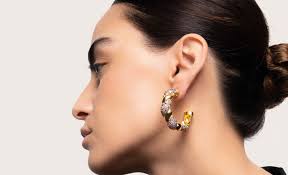 Jewel Earrings