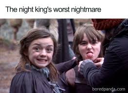 And as always spoilers ahead. Game Of Thrones Season 8 Episode 3 The Long Night Funny Reactions Got Memes Game Of Thrones Funny Game Of Thrones Meme