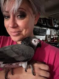 I'm new here and love reading all the post to help with my guy, with that  being said I have always been terrified of birds! They want to peck my eyes  out!!!