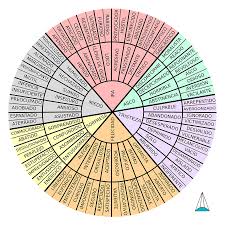 El manejo de las emociones es muy importante para nuestra salud mental saber manejar las emociones. Emociones Basicas Y Una Rueda De Palabras Emocionales Adrian Silisque