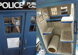 Ici Disindan Buyuk Kedi Kedi Evi Evler