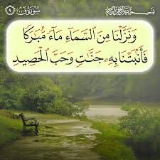 Pin By كتاب ا متشابه ا On ٥٠ سورة ق Calligraphy Arabic Calligraphy