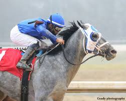 Reducing particulates in a horse's environment can go a long way toward ensuring his airway is as at the seventh welfare and safety of the racehorse summit, held june 28 at the keeneland race. Arkansas Derby Or Blue Grass Next For Champion Essential Quality Horse Racing News Paulick Report