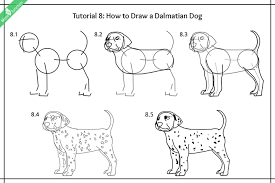 So, now we erase the circle since it is already superfluous and start drawing the dog's body. Step By Step Guide On How To Draw A Dog For Kids