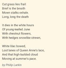 Pin On Philip Larkin