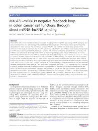 Pdf Malat1 Mir663a Negative Feedback Loop In Colon Cancer