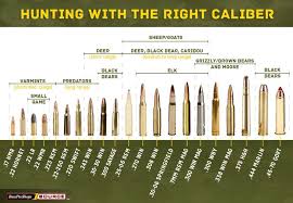 Use This Rifle Caliber Chart To Pick The Right Ammo For