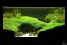 Black Fish Tank Themes
