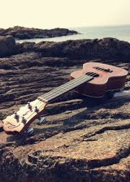 Get growin' whether you're just getting started or have a true green thumb, you can make your landscape the envy of the neighborhood with live goods, plants and planters. 500 Ukulele Life Ideas Ukulele Ukelele Ukulele Music
