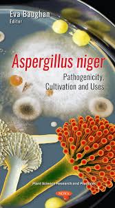 Aspergillosis is an infection or allergic reaction caused by various kinds of mold (a type of fungus). Aspergillus Niger Pathogenicity Cultivation And Uses Nova Science Publishers