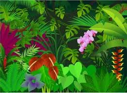 Clip Art Jungle Flowers Join Us At Jungle Flowers Abstract Tree Forest Painting