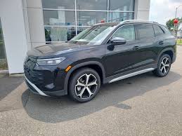 Image result for Deep Pearl Black 2025 Slavia