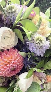 The flowers we offer are fresh, nice looking and cheap at the same time. Scabiosa Scabiosa Flowers Wholesale Flowers Bulk Wedding Flowers