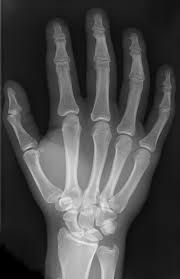 Image result for hands