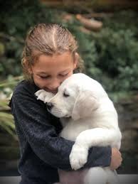 My dog wally is a parson russell terrier. Home Mckenzie River Labrador Retrievers