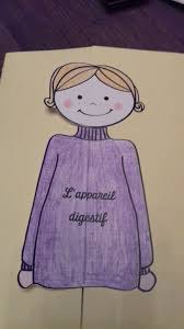 Synthese Interactive Digestion Science Enfant Appareil Digestif Education Primaire