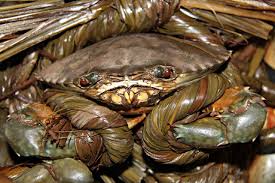 Kết quả hình ảnh cho sao bieenr