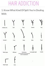 Types Of Split Ends Natural Hair Styles Hair Breakage Hair Growth Charts