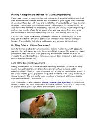 The latest ones are on jul 04, 2021 11 new guinea pig babies for sale near me results have been found in the last 90 days, which means that every 8, a new guinea. Picking A Responsible Breeder For Guinea Pig Breeding By Guineapig Market Issuu